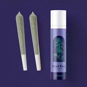 ICE CREAM BANGER | 0.5G | 2PK