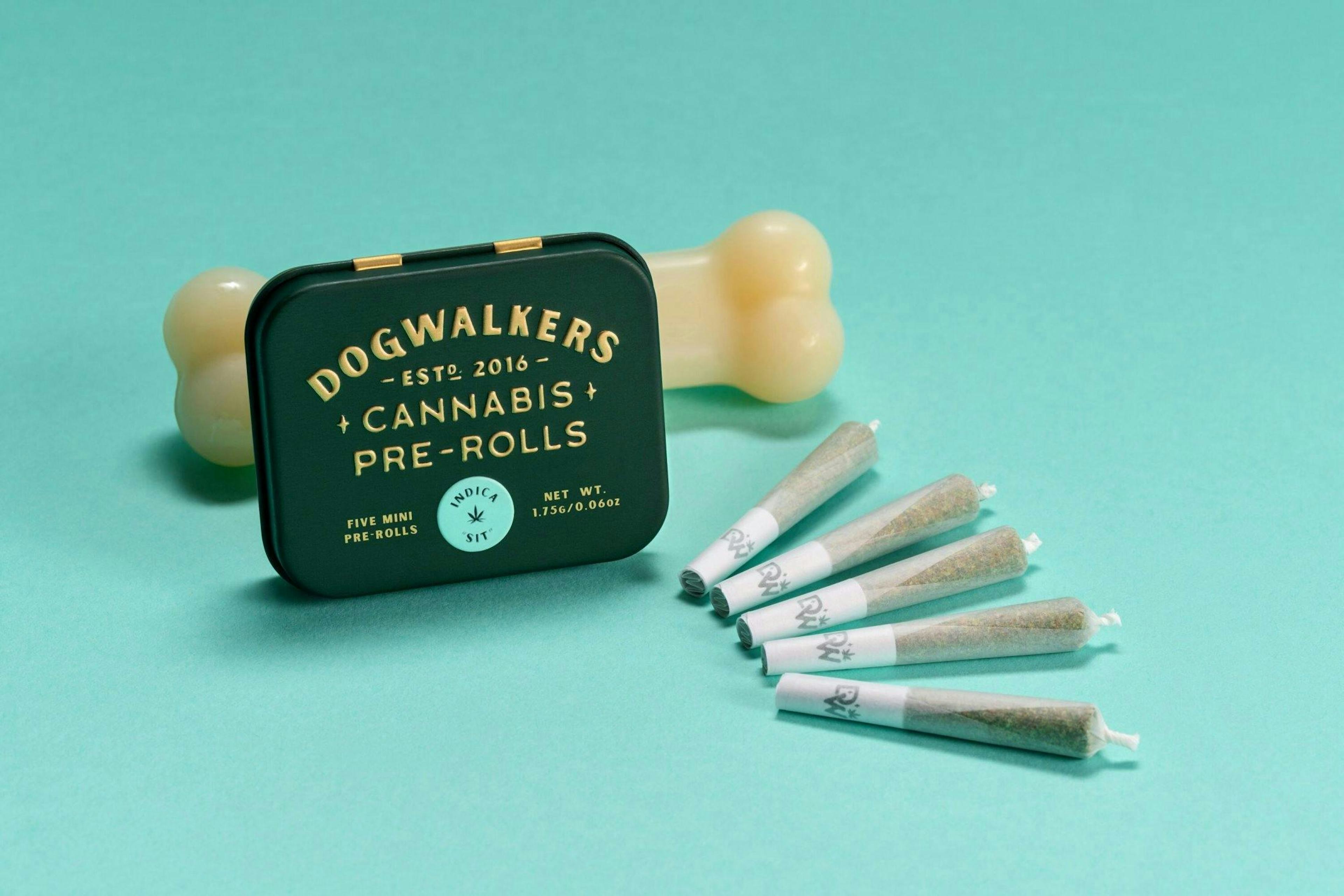 Image of GSC X CHEM DAWG | 1.75G | 5PK