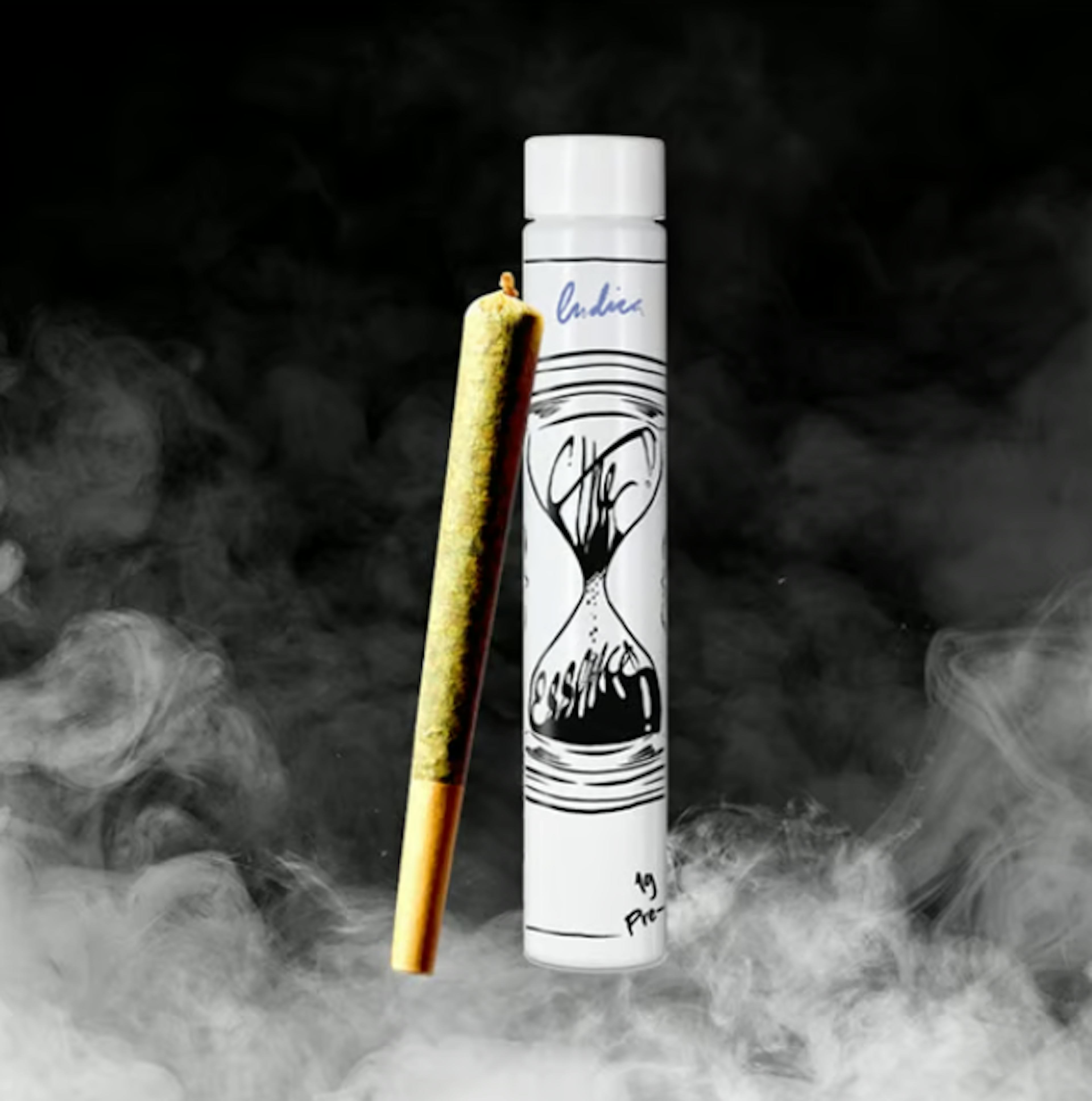 Image of GELATO 41 | 1G | ESSENCE J'S