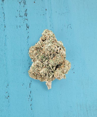 SOUR TANGIE | 7G | MIXED BUDS