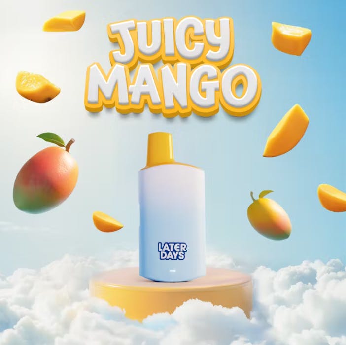 elf bar vape uk JUICY MANGO | DISPOSABLE | 2G - 2g | Vaporizers | LATER DAYS | SilverLeaf  (Rec)