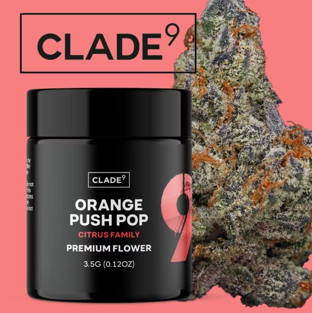 ORANGE PUSH POP | 3.5G