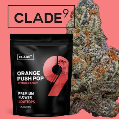 ORANGE PUSH POP | 7G