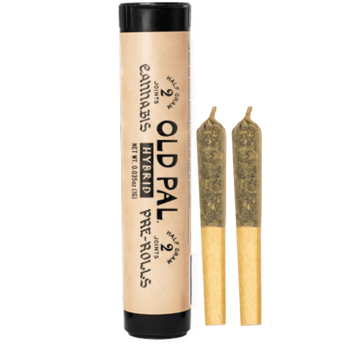 SUNSHINE DAYDREAM | 2-PACK | 0.