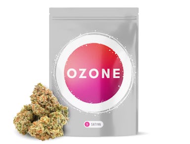 BANANACONDA | 3.5G | WHOLE FLOWER