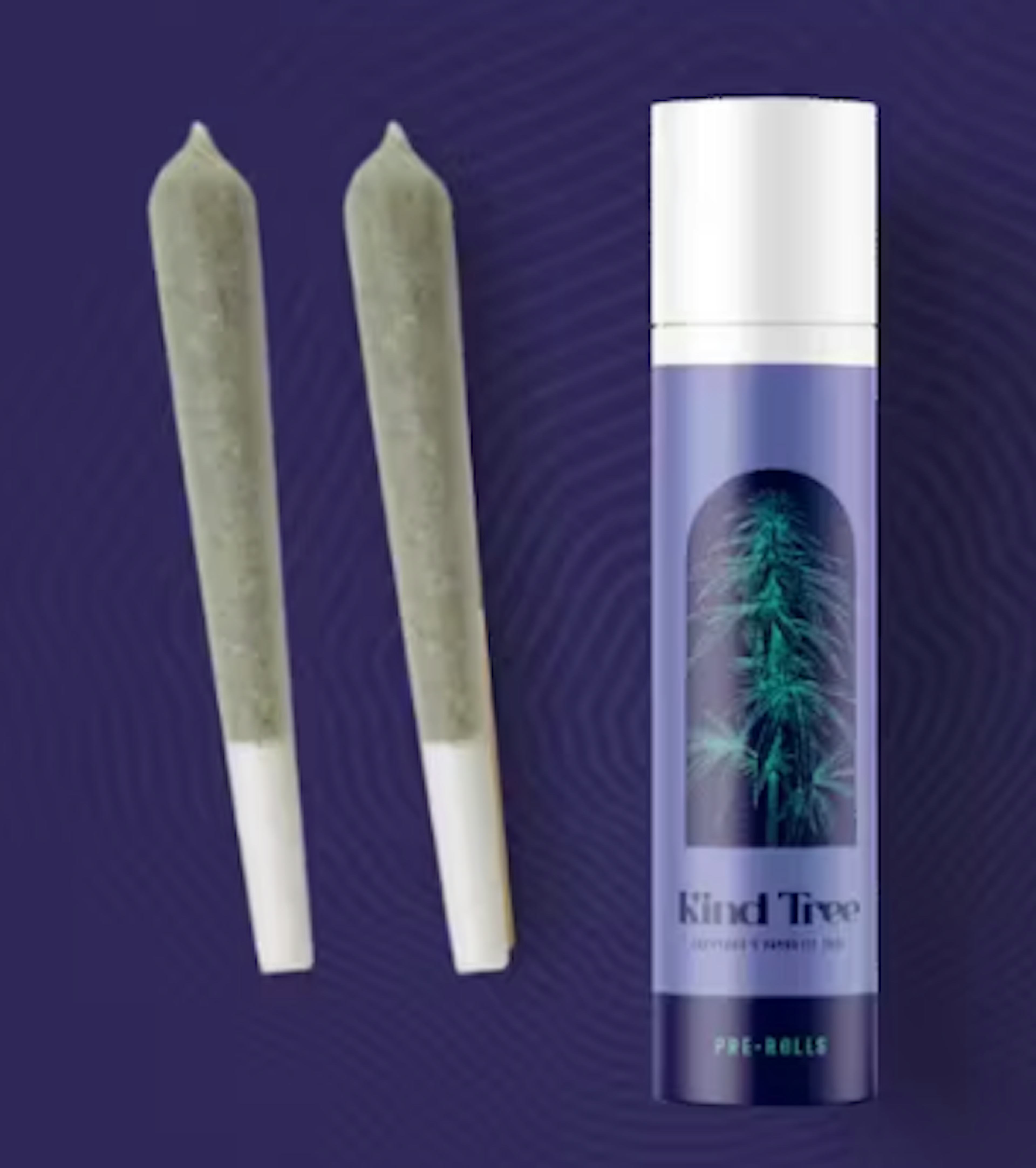 Image of BANANA TREE | INFUSED | 1G | 2PK