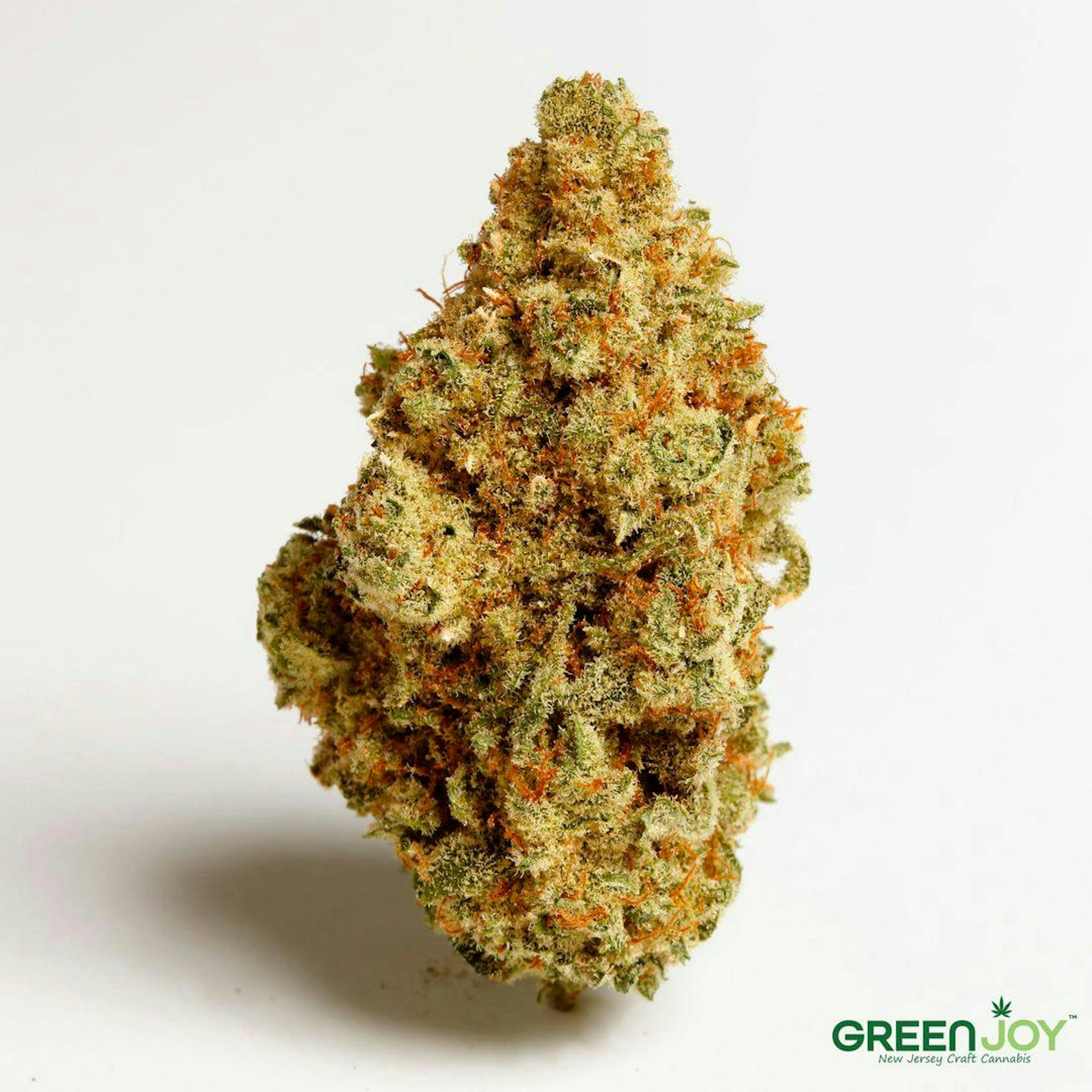 Image of HELLA JELLY | 3.5G