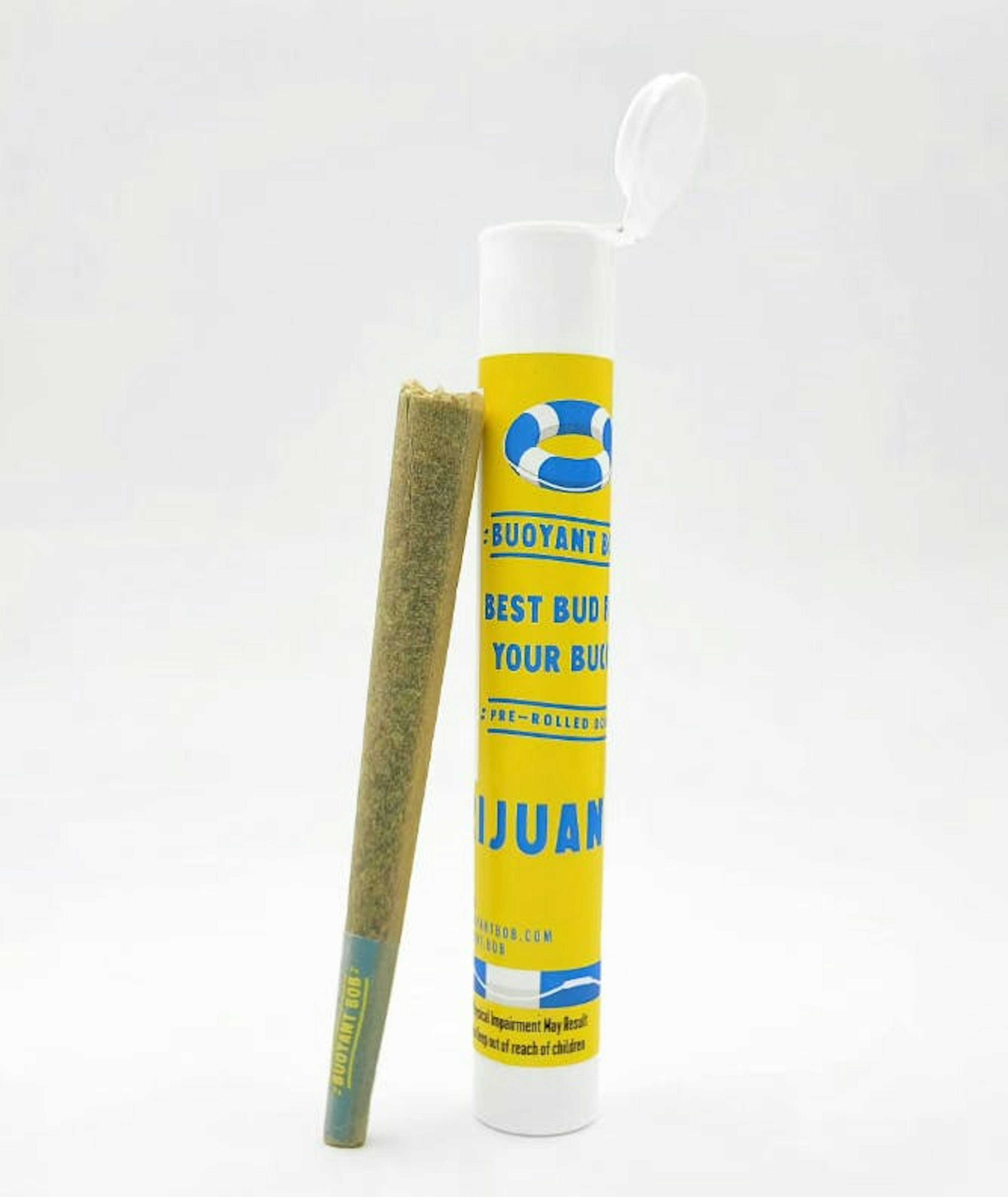 Image of PLATINUM KUSH MINTZ | 1G