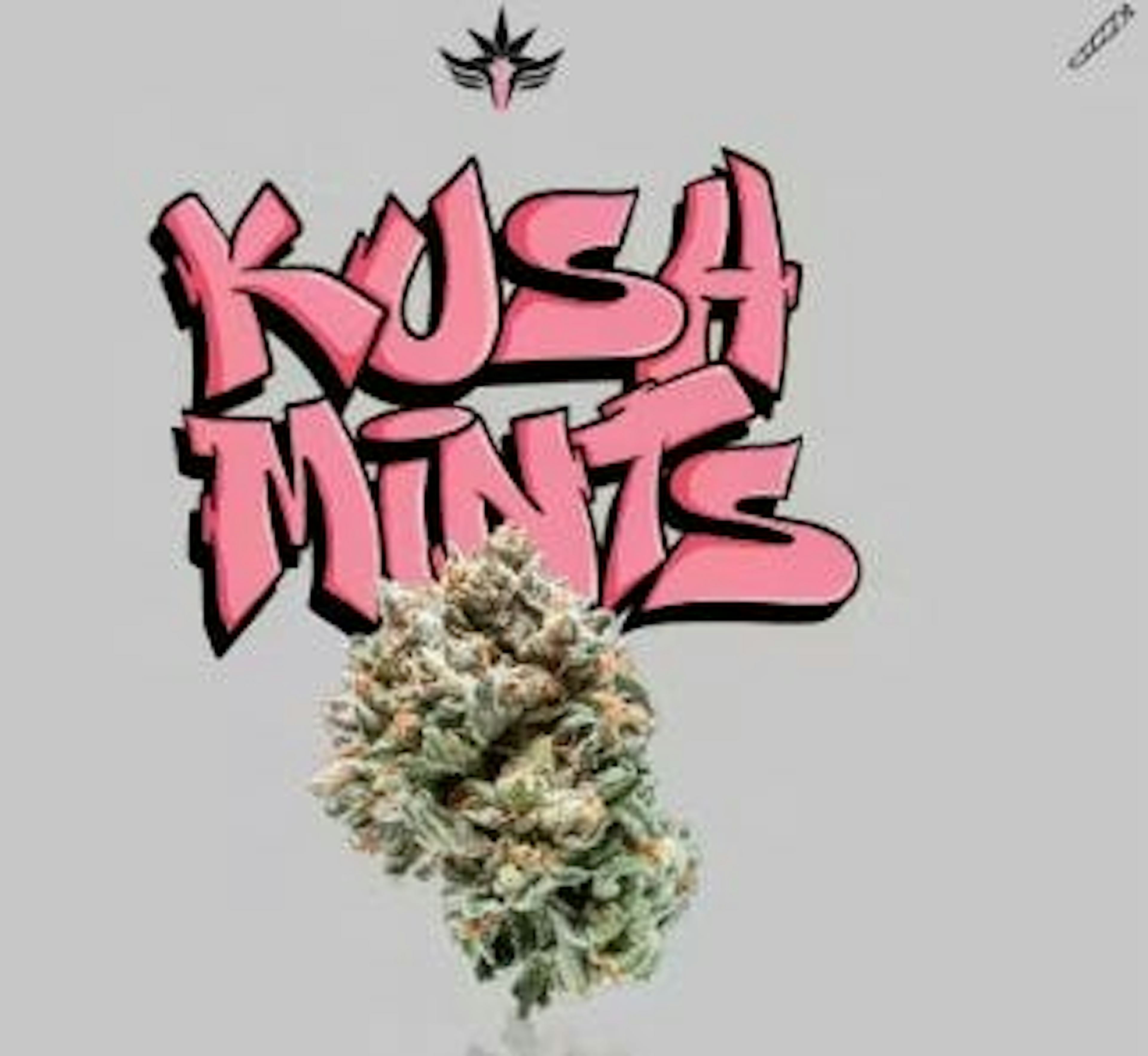 Image of KUSH MINTS | 2 PACK