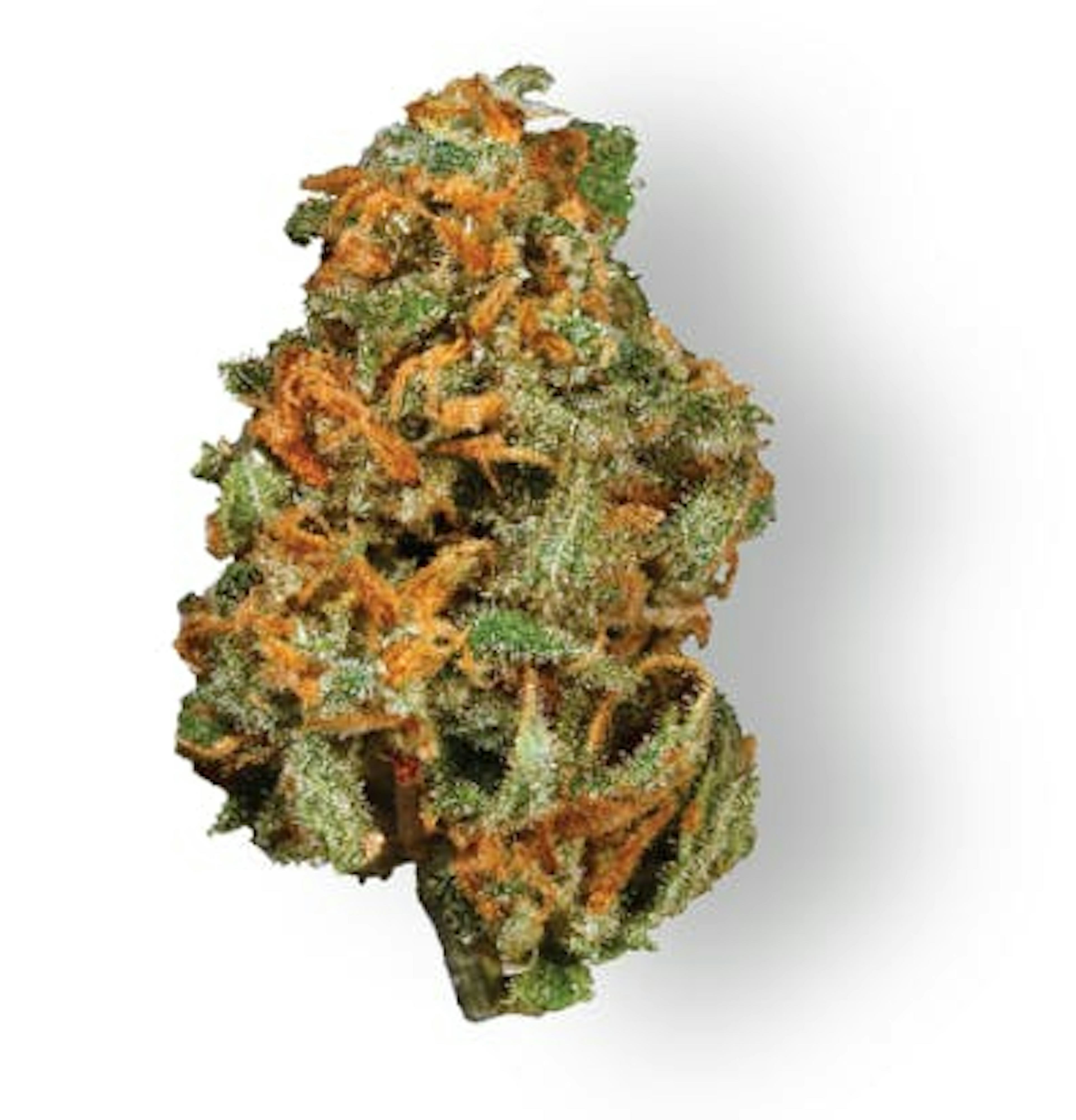 Image of SUPER LEMON G | POPCORN | 3.5G