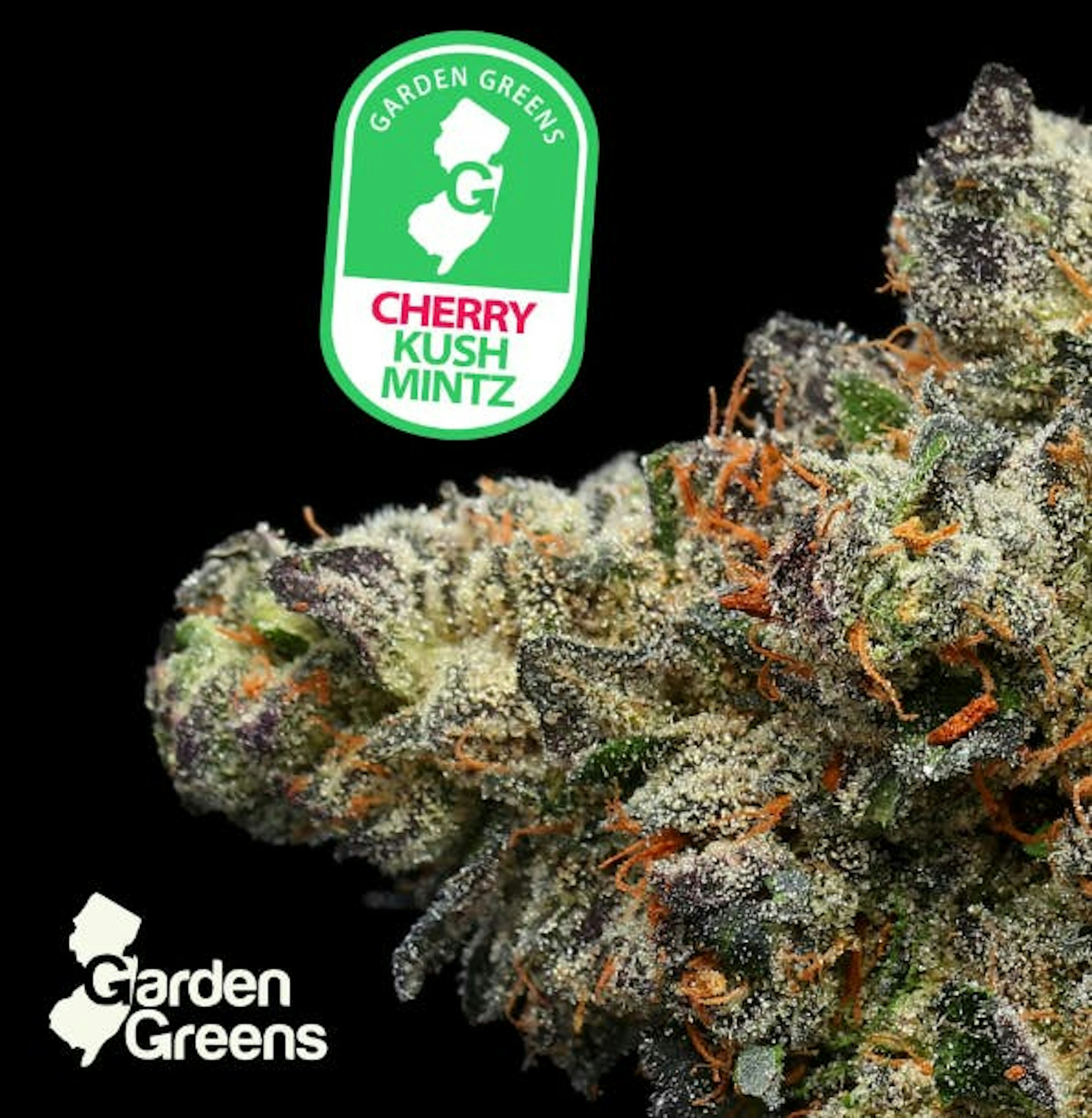 Image of CHERRY KUSH MINTS | 3.5G